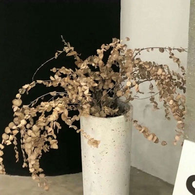 常德福瑞交流群